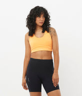 SHAKEout CORE - SalomonGCC